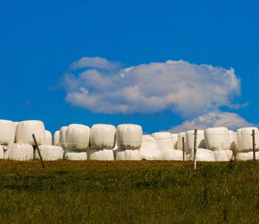 Tips for making high-quality baleage