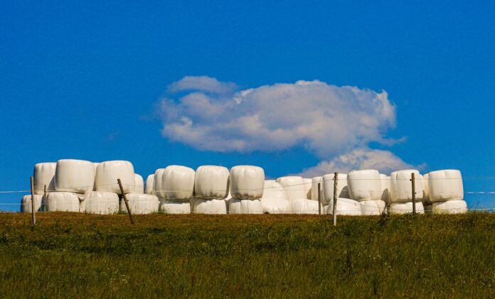 baleage pexels hay wrapped