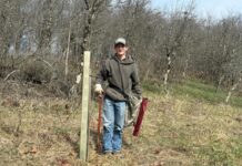 The secret to tree survival: Why tree tubes are worth the cost