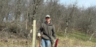 The secret to tree survival: Why tree tubes are worth the cost
