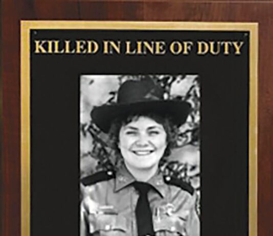 The thin green line: Remembering the life and legacy of Peggy Park