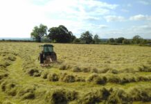 What you can do to revive worn-out hay stands