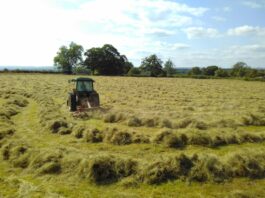 What you can do to revive worn-out hay stands