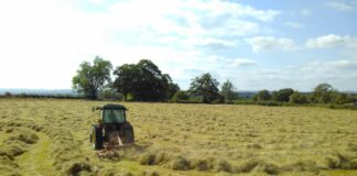 What you can do to revive worn-out hay stands