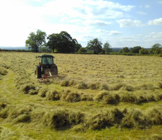 What you can do to revive worn-out hay stands