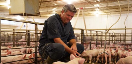 Pennsylvania Farm Bureau president resigns