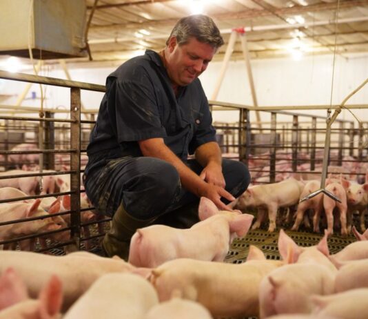 Pennsylvania Farm Bureau president resigns