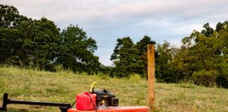Summer pasture management: Tips to protect forage and extend grazing
