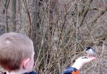 Why true conservation needs to start in our own backyards