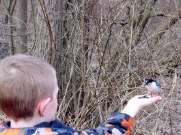 Why true conservation needs to start in our own backyards