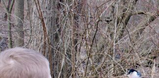 Why true conservation needs to start in our own backyards