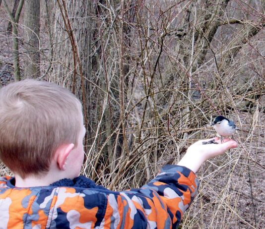 Why true conservation needs to start in our own backyards