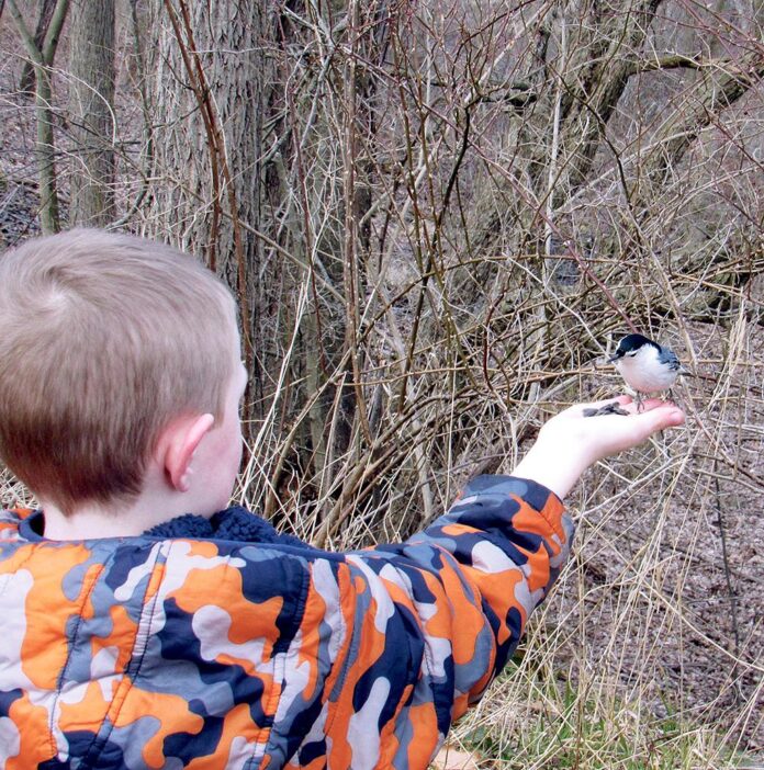 Authors son with Nuthatch_RGB