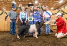 2026 Harrison County Junior Fair results
