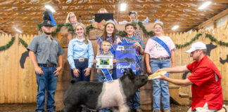 2026 Harrison County Junior Fair results
