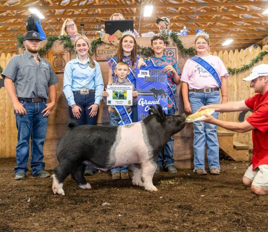 2026 Harrison County Junior Fair results