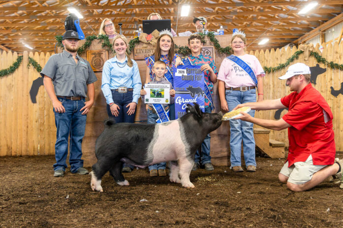 GRAND CHAMPION MARKET HOG: ADDIE WILSON