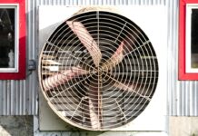 Evaluating your heat stress mitigation plan should include your nutrition program