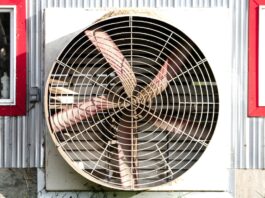 Evaluating your heat stress mitigation plan should include your nutrition program