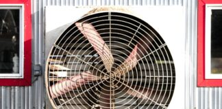 Evaluating your heat stress mitigation plan should include your nutrition program
