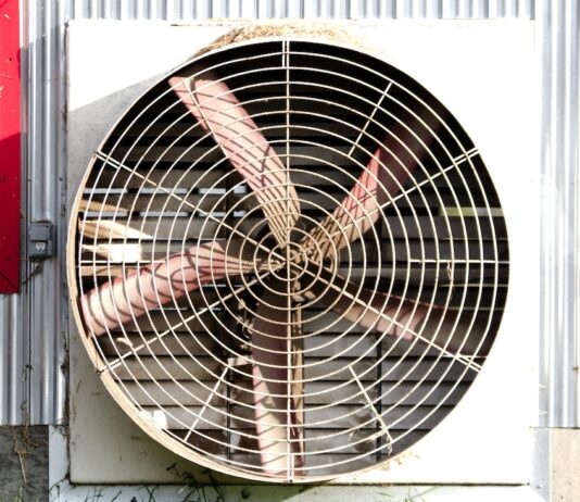Evaluating your heat stress mitigation plan should include your nutrition program