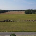 A son’s tribute: Tractor roadside lineup honors late Portage County farmer