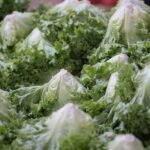 How to protect yourself this “Cyclospora summer”