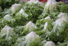 How to protect yourself this “Cyclospora summer”