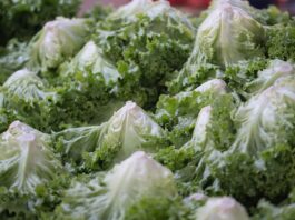 How to protect yourself this “Cyclospora summer”