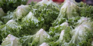 How to protect yourself this “Cyclospora summer”