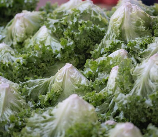 How to protect yourself this “Cyclospora summer”