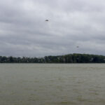 Advocates point to work in Maumee River as proof of what’s possible