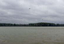 Advocates point to work in Maumee River as proof of what’s possible