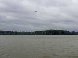 Advocates point to work in Maumee River as proof of what’s possible