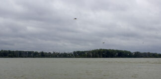 Advocates point to work in Maumee River as proof of what’s possible