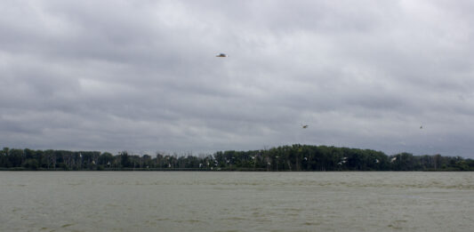 Advocates point to work in Maumee River as proof of what’s possible