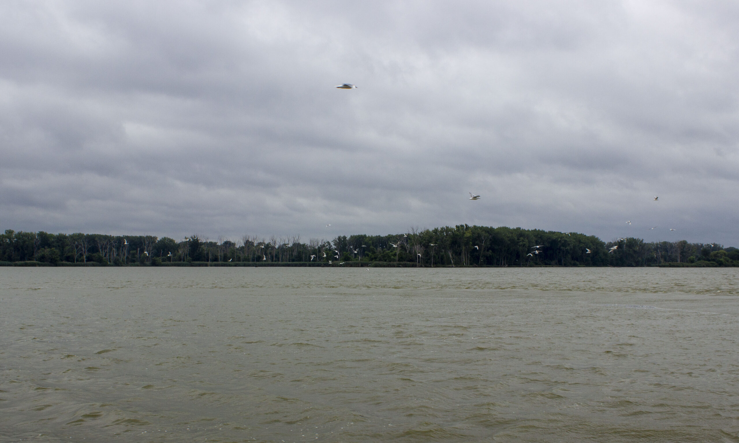 Advocates point to work in Maumee as proof of what's possible