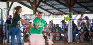 Inclusive livestock shows open door to more fair families