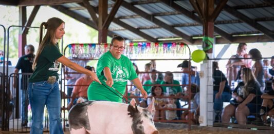 Inclusive livestock shows open door to more fair families