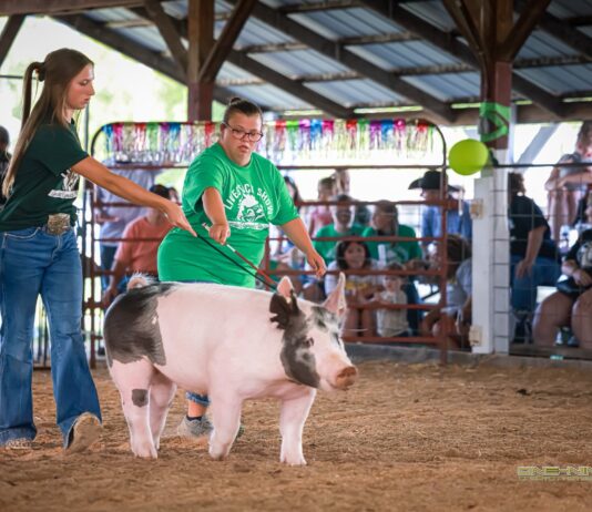 Inclusive livestock shows open door to more fair families
