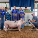 2026 Trumbull County Junior Fair Livestock Sale results