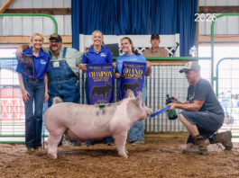 2026 Trumbull County Junior Fair Livestock Sale results