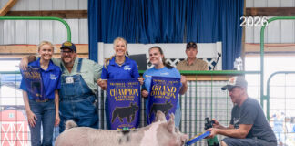 2026 Trumbull County Junior Fair Livestock Sale results