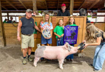 2026 Summit County Fair Livestock Auction results