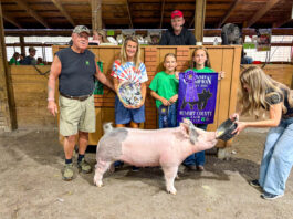 2026 Summit County Fair Livestock Auction results