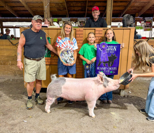 2026 Summit County Fair Livestock Auction results