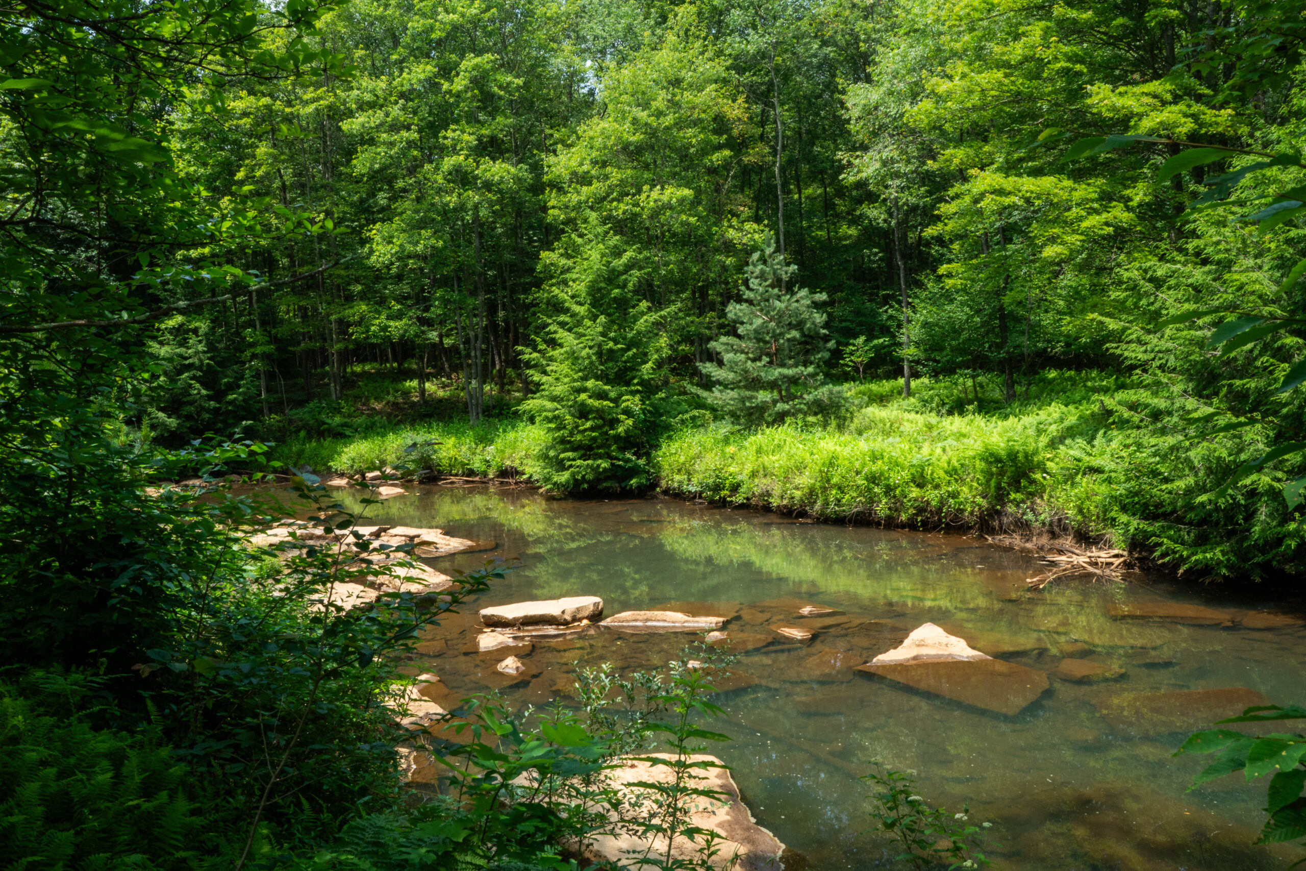 Blacklick Creek