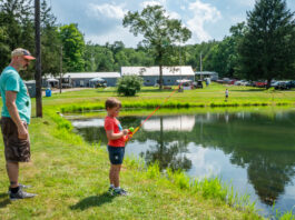 Why fall Is the best time to stock and manage your pond