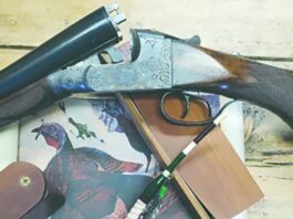 Oddball, eccentric or a bit of both? The case for the 16 and 28-gauge shotguns