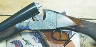 Oddball, eccentric or a bit of both? The case for the 16 and 28-gauge shotguns